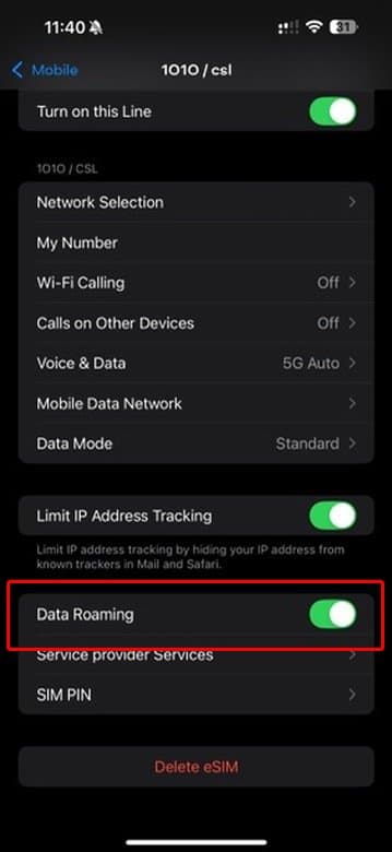 Enable Data Roaming